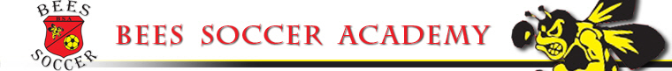 Bees Soccer Academy banner